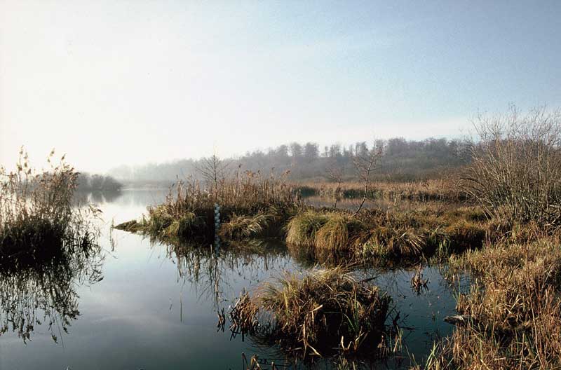 Hochfelder See 01